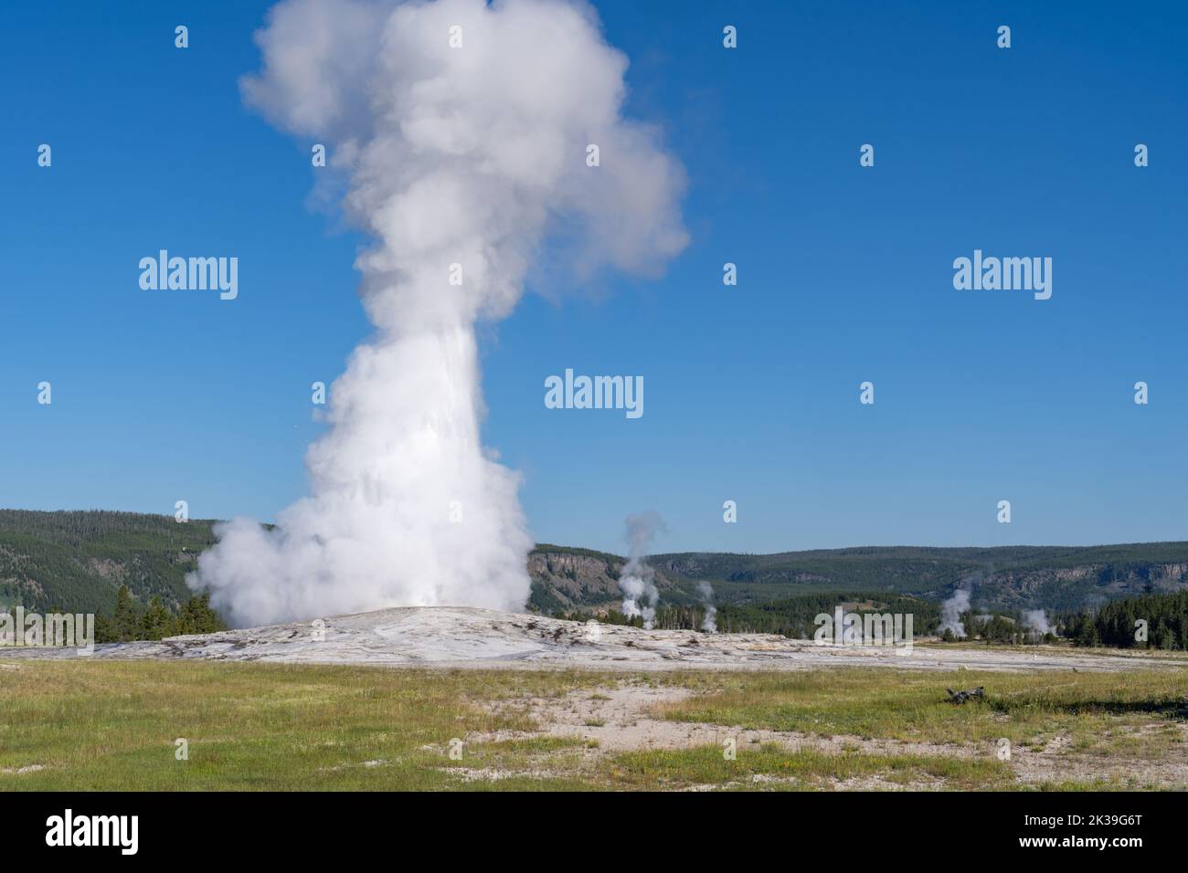 Old Faithful Geyser erupts in the morning at Yellowstone National Park ...