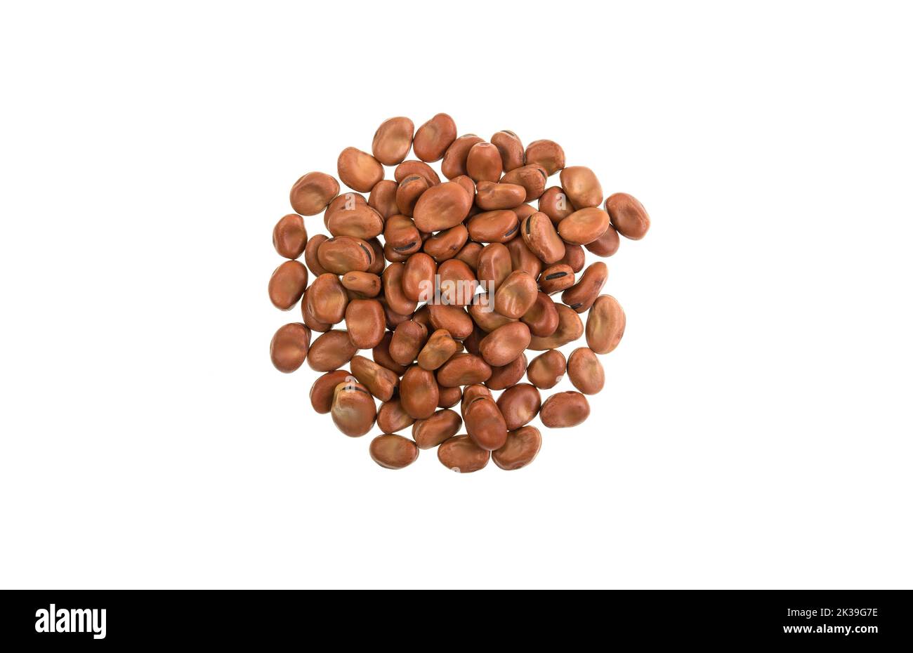 Faba beans, Vicia faba, is a species of vetch, a flowering plant of the family Fabaceae. Other names are broad beans or fava bean. Stock Photo