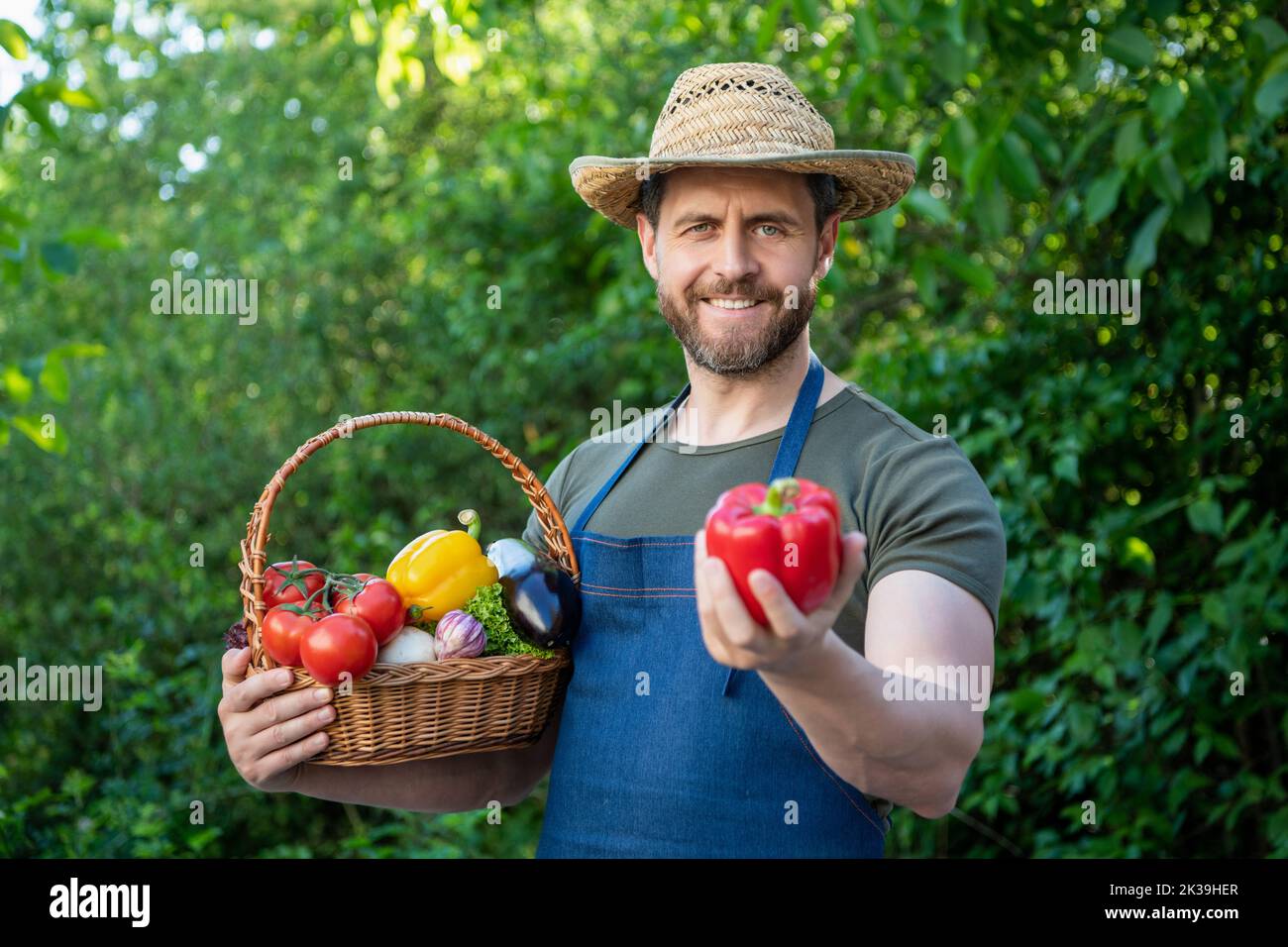 man in straw hat hold basket full of vegetables. farming Stock Photo ...