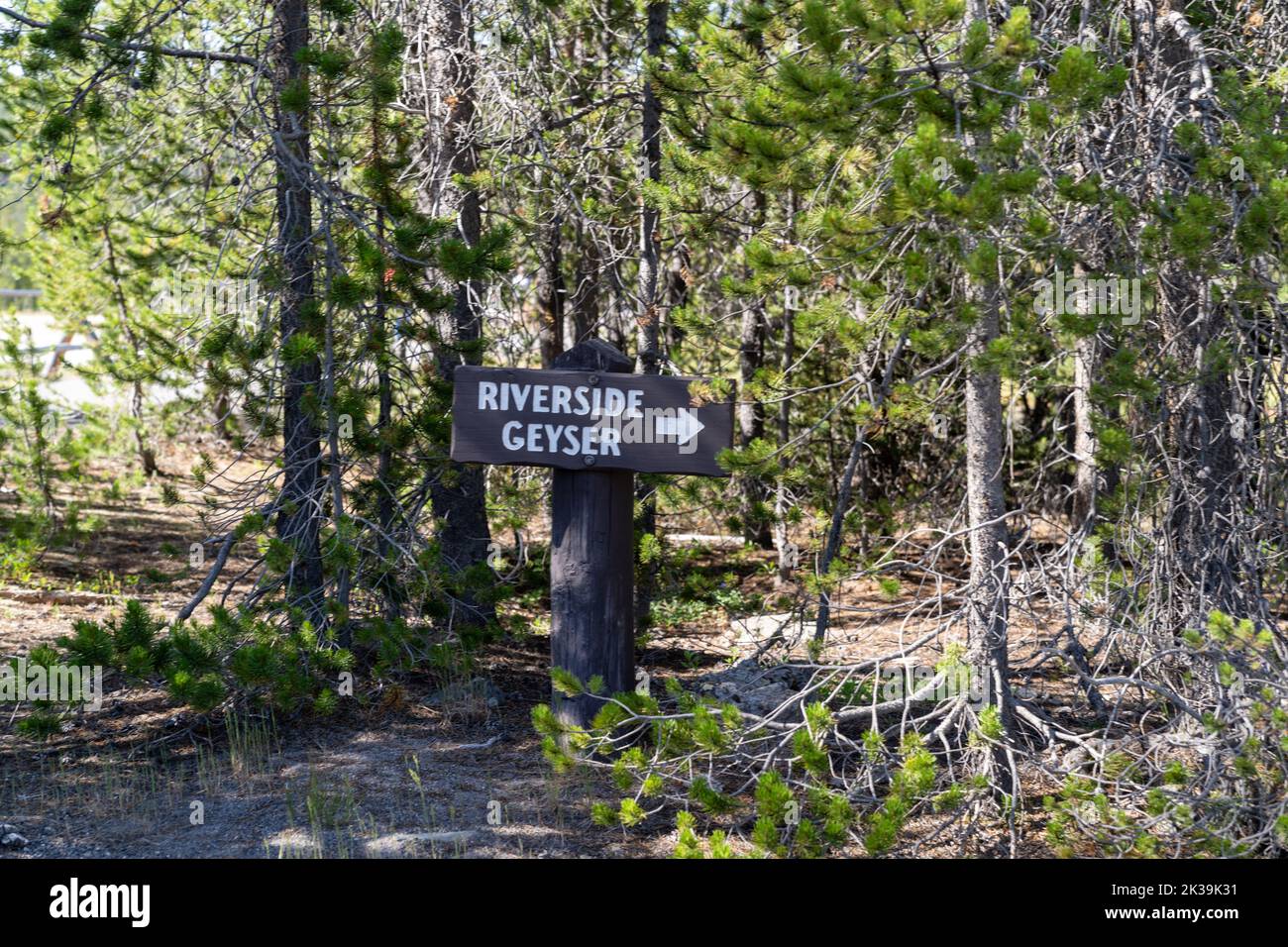 Sign for Riverside Geyser in Yellowstone National Park Stock Photo