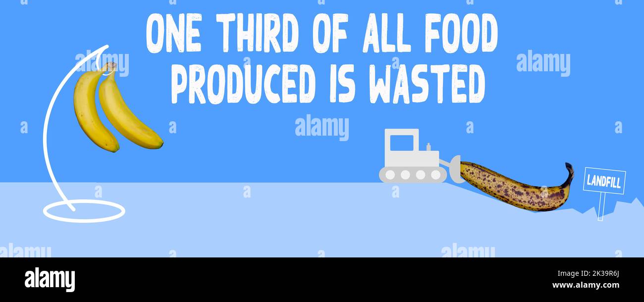 One third of all food produced is wasted, illustration with bananas