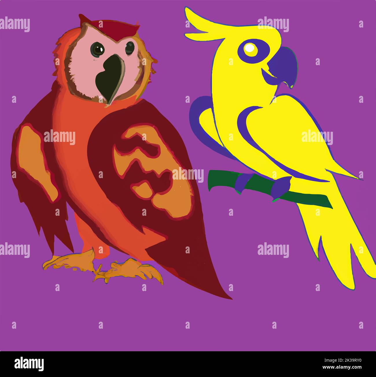 parrot and owl Stock Photo Alamy