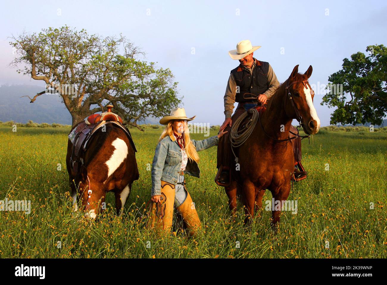 The fields of dream Stock Photo Alamy
