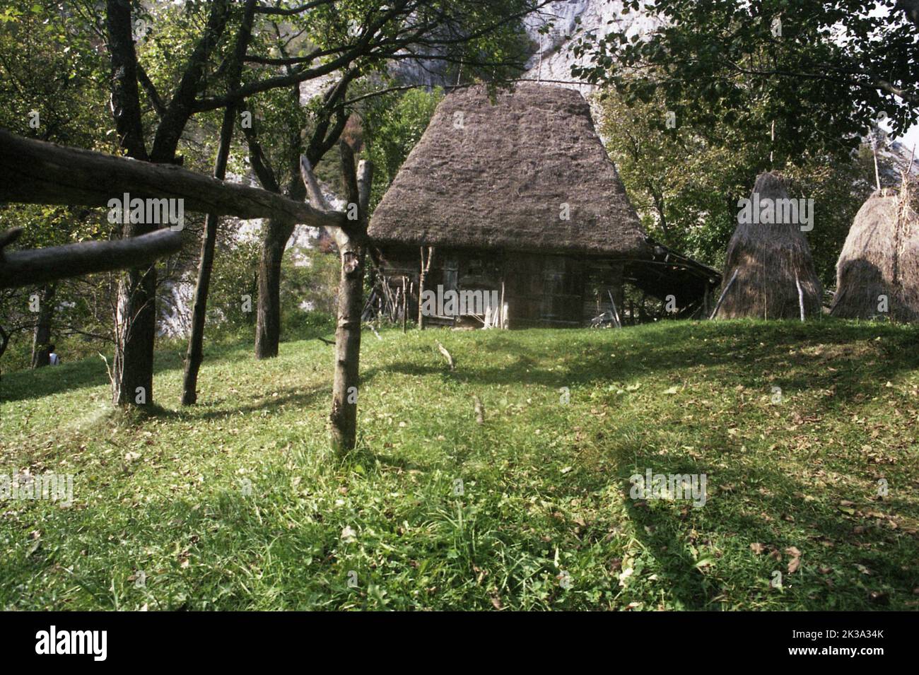 Alba County, Romania, approx. 1999. Traditional thatched straw roof shed in the Apuseni Mountains and hay stacks. Stock Photo