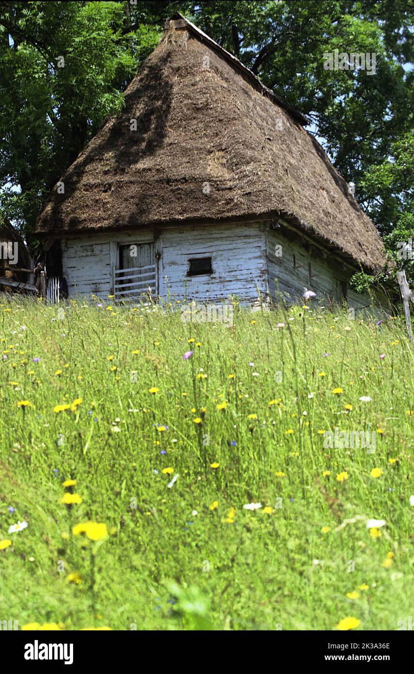 Alba County, Romania, approx. 1999. Traditional thatched straw roof shed in the Apuseni Mountains. Stock Photo