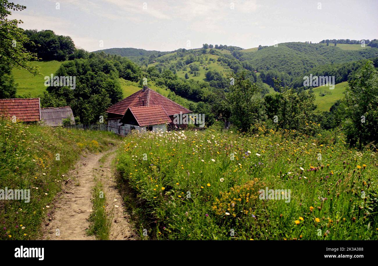 Alba County, Romania, approx. 2000. Landscape in the Apuseni Mountains, with beautiful meadows in the valley and small houses. Stock Photo