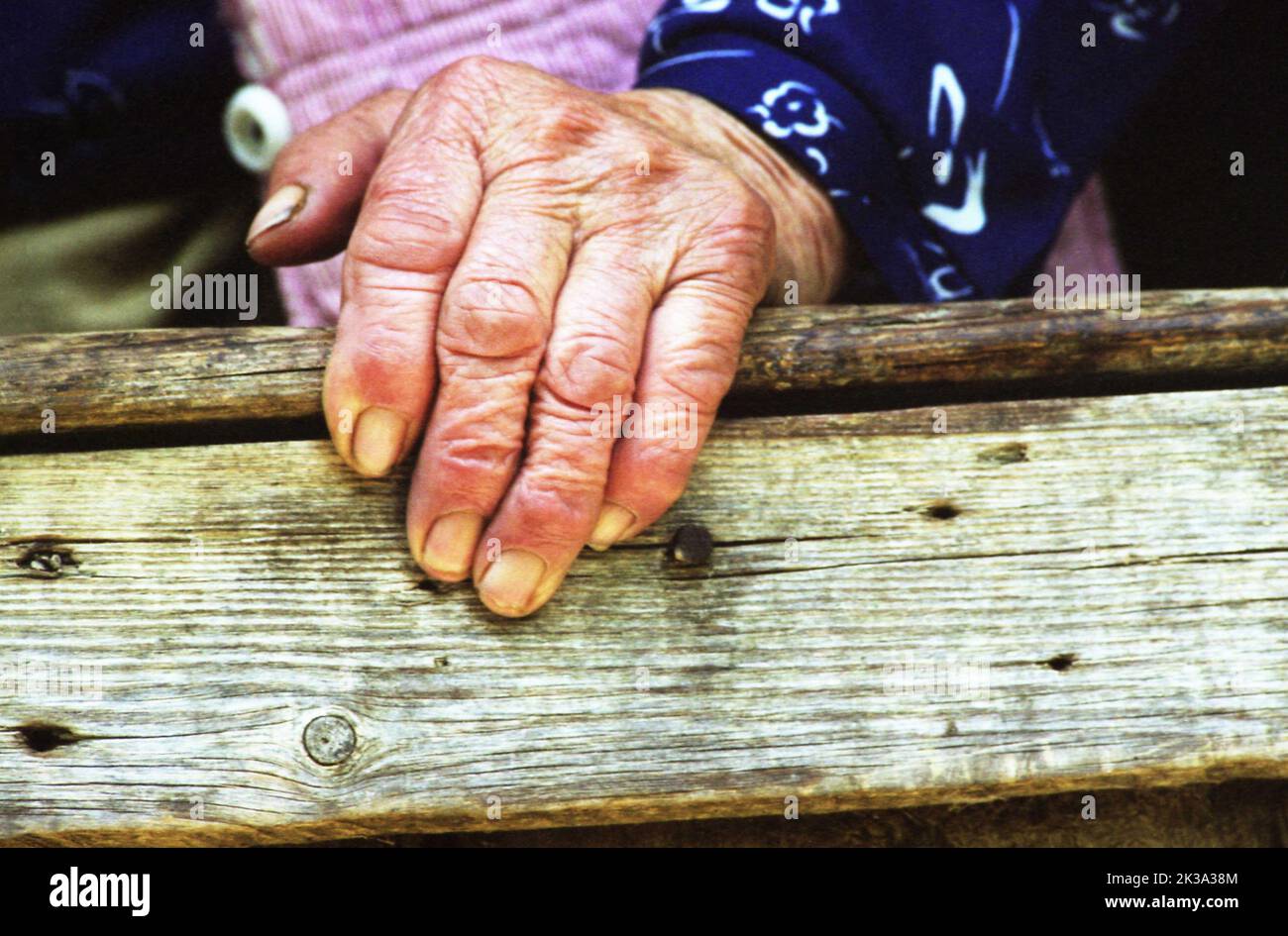 Hand of an elderly woman living in rural Romania Stock Photo