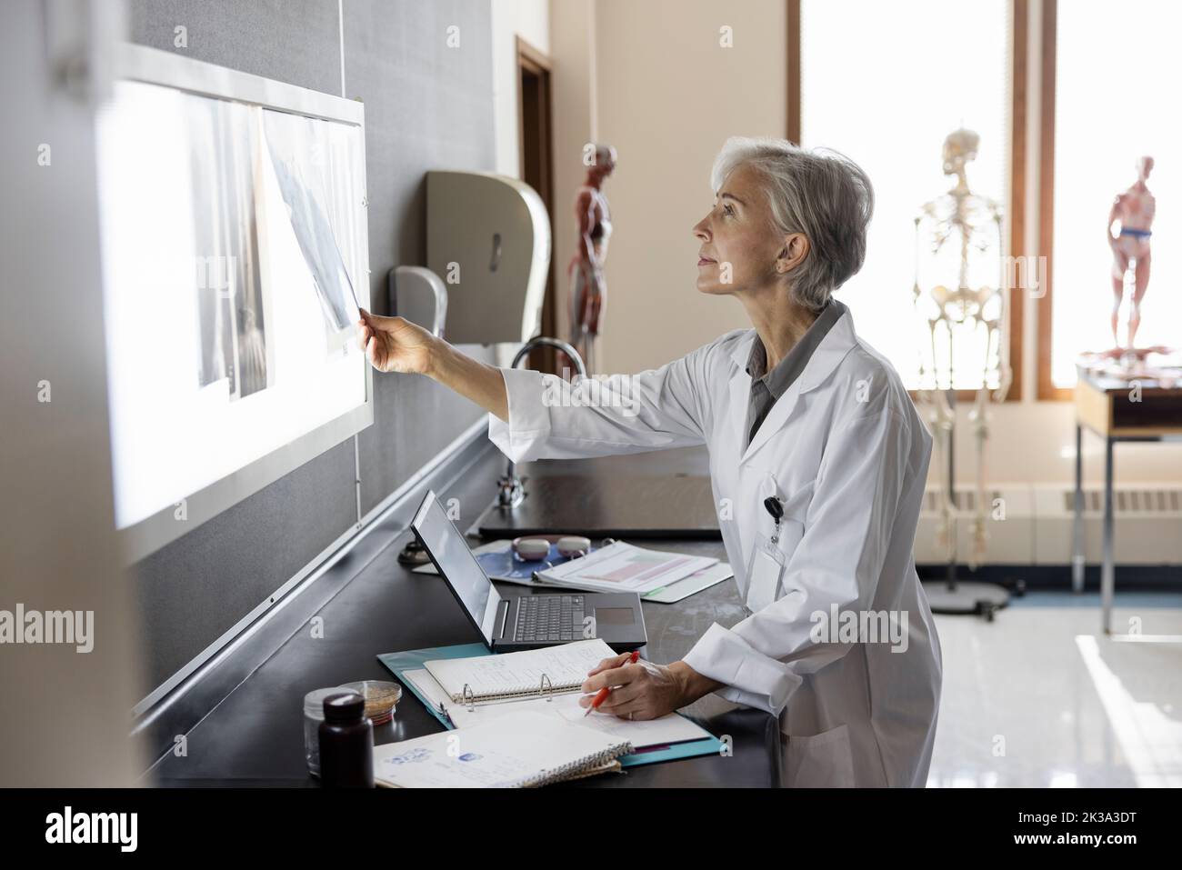 Focused female science professor looking at x-rays in laboratory Stock ...