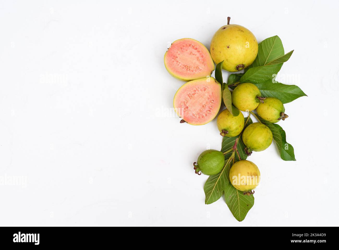Ripe guava fruit with leaves on white background with copy space Stock Photo