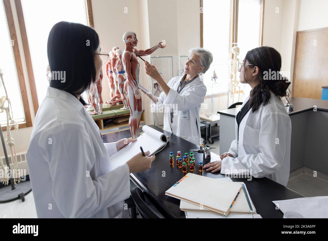 Female college students and professor in anatomy laboratory Stock Photo