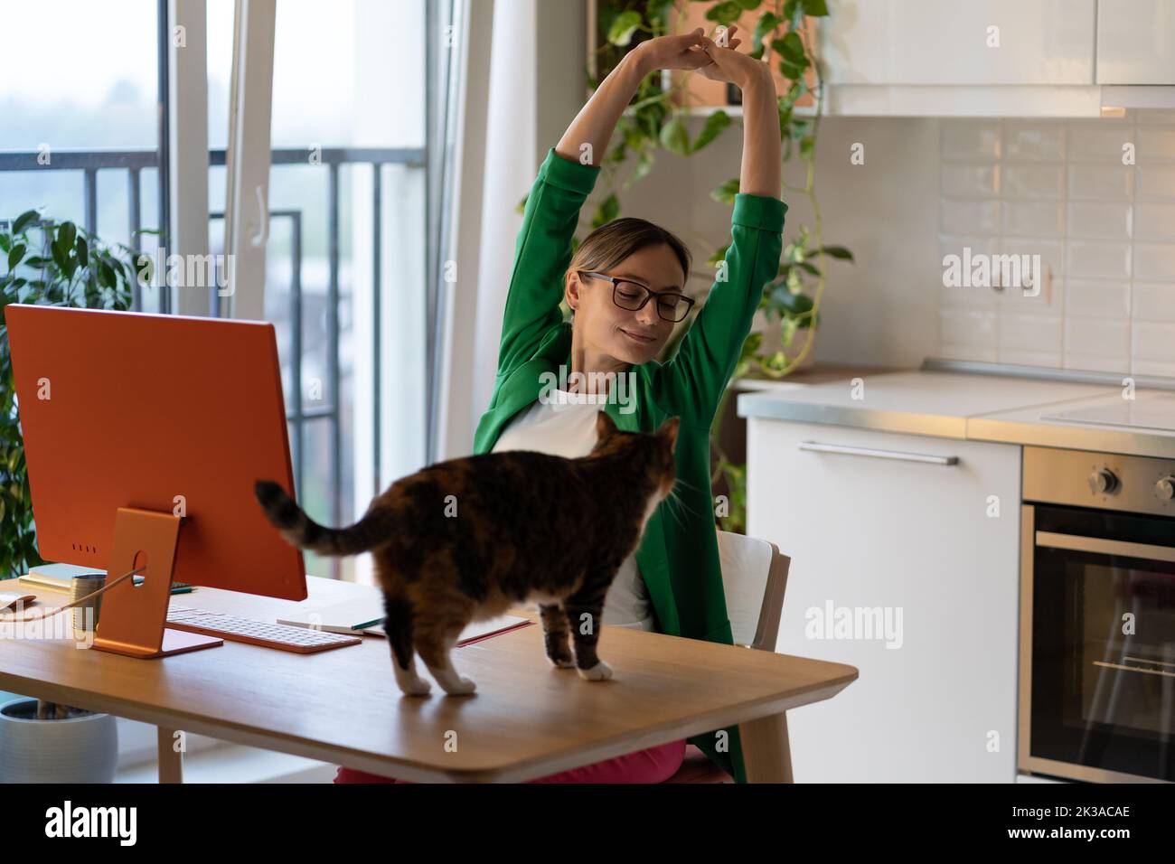 Woman disturbed by cat stretches arms at work break sitting at wooden table resting. Pet lovers. Stock Photo