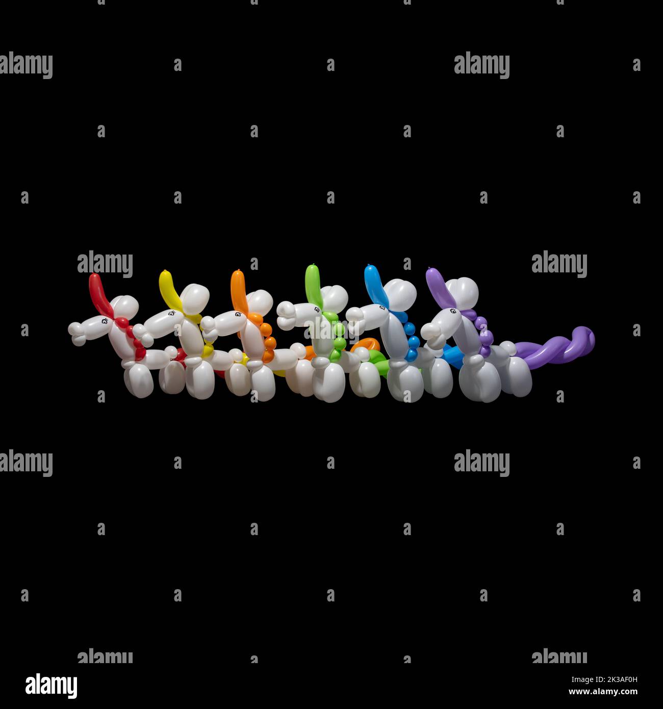 A row of cute white unicorn balloon animals with a rainbow of colorful manes, tails, and horns like a clown or entertainer might make at a birthday pa Stock Photo