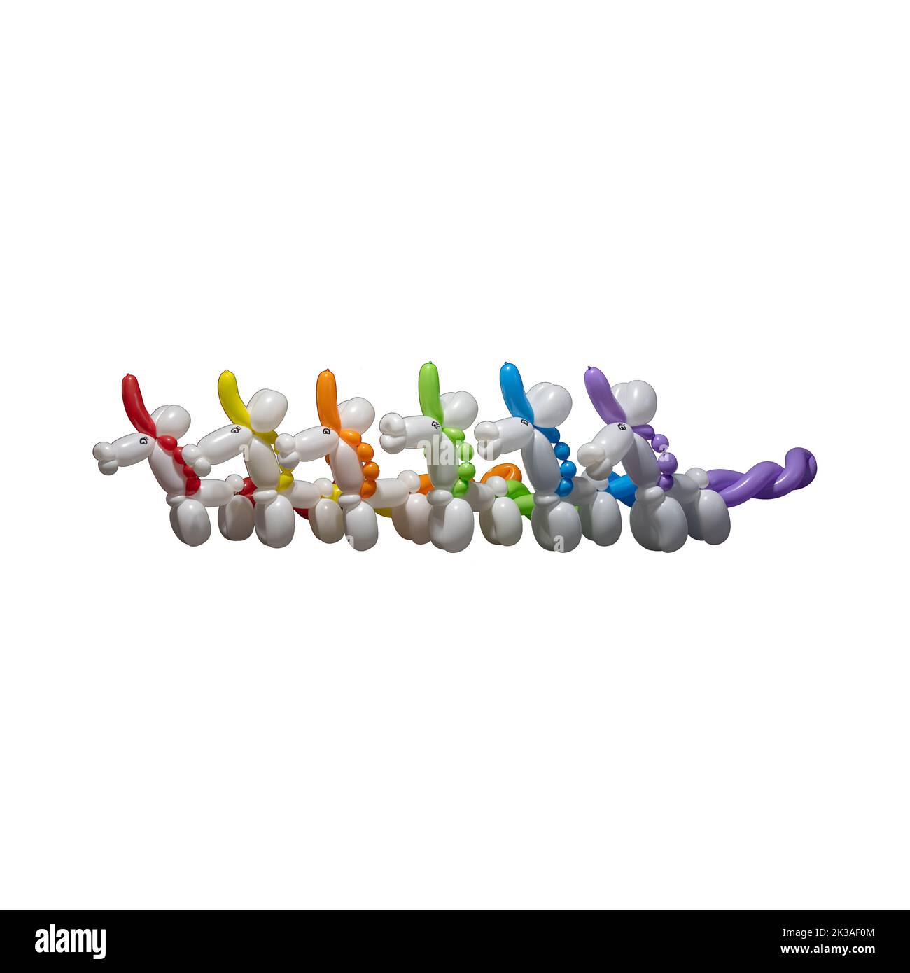 A row of cute white unicorn balloon animals with a rainbow of colorful manes, tails, and horns like a clown or entertainer might make at a birthday pa Stock Photo