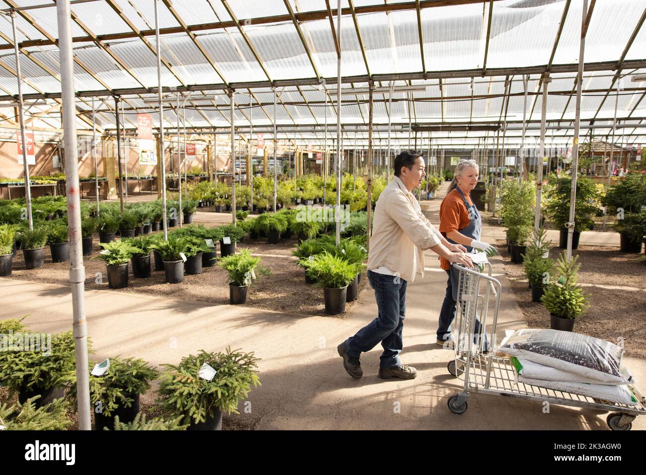 Customer with trolley hi-res stock photography and images - Alamy
