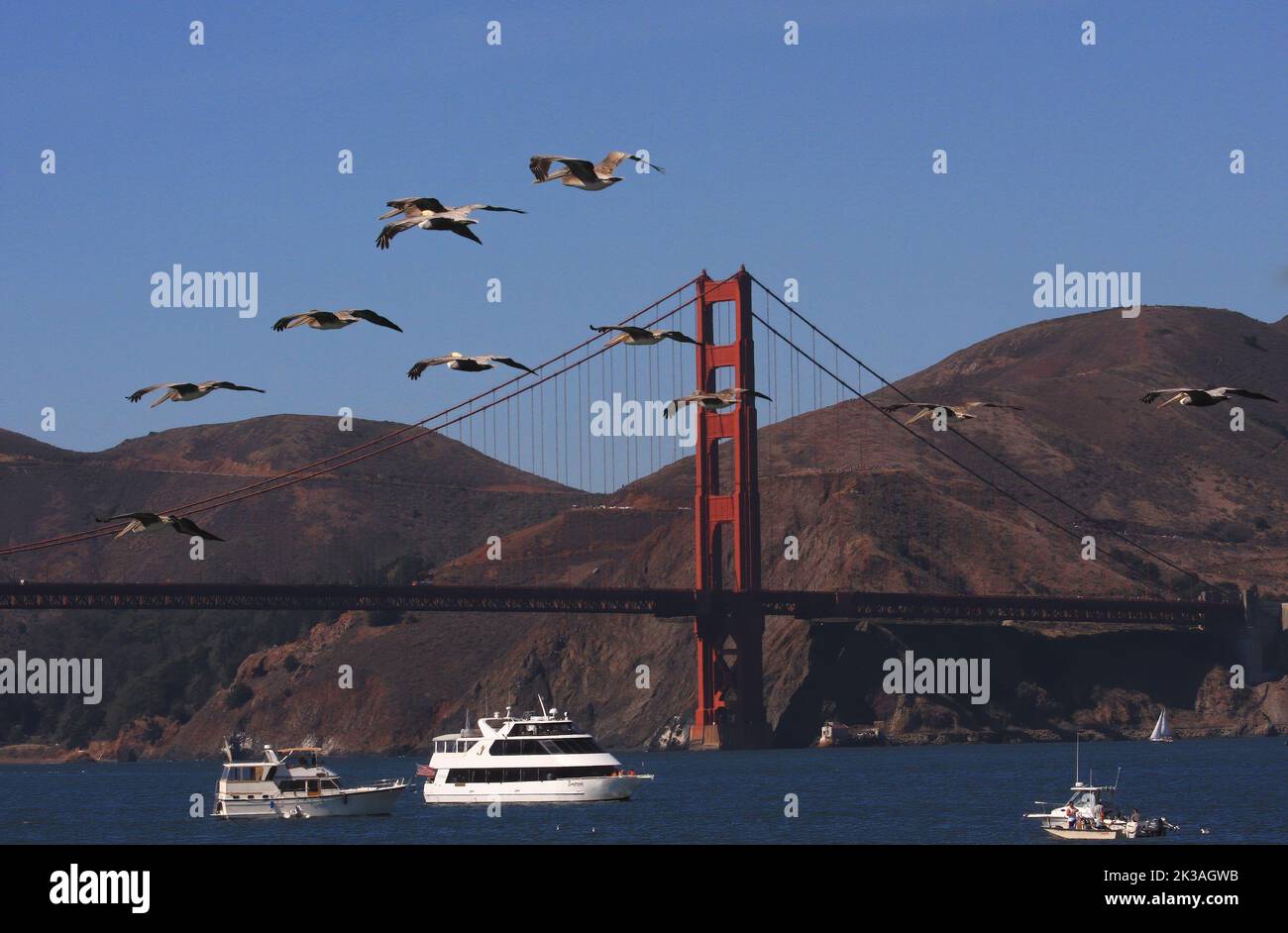 Air Show San Francisco 2024 Schedule Tickets Agathe