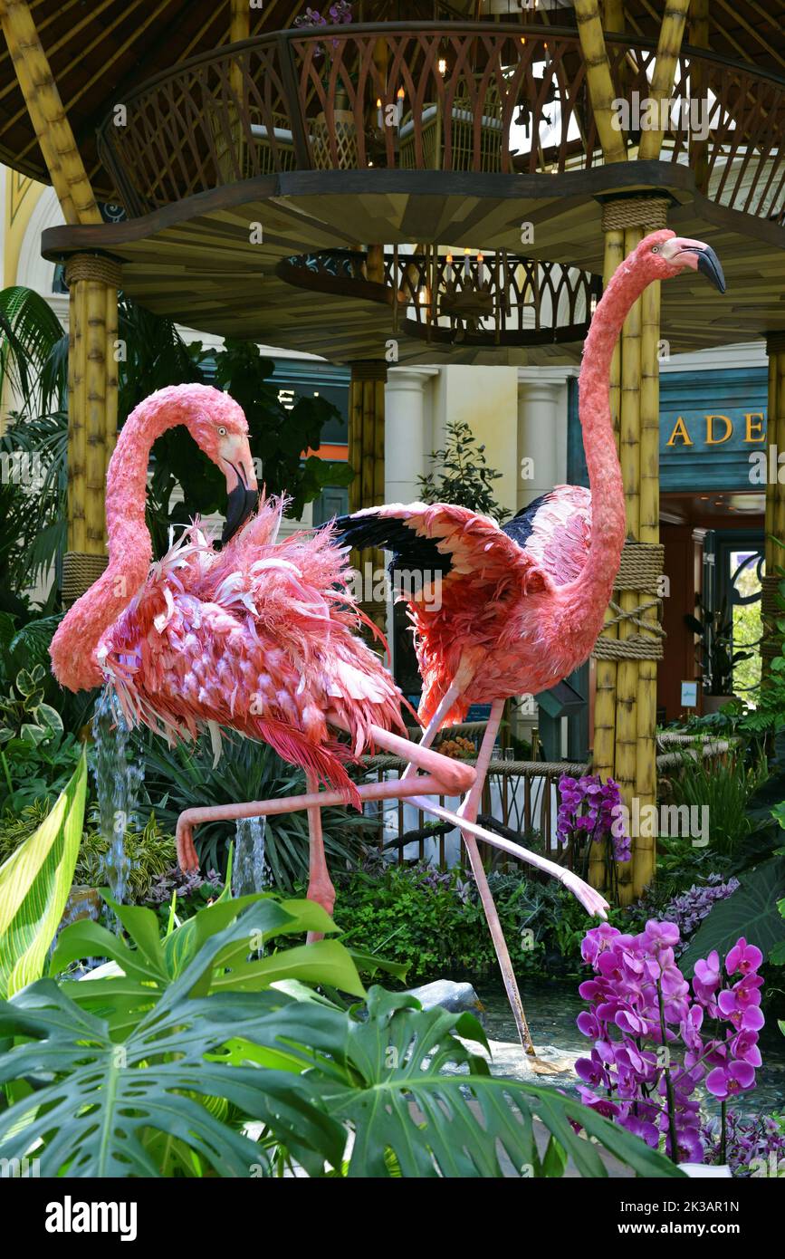 Bellagio hotel room hi-res stock photography and images - Alamy