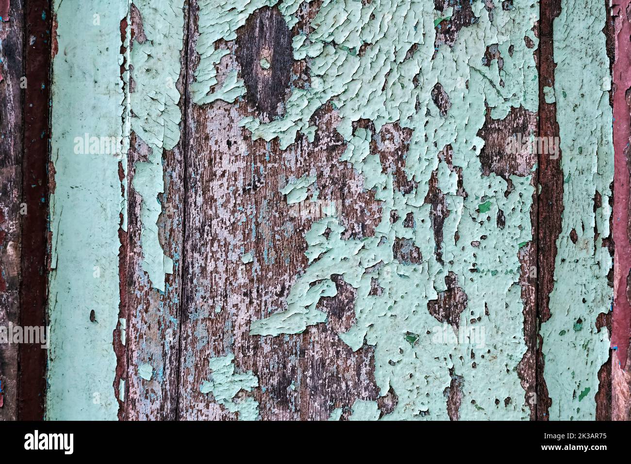 Colorful craquelure of the delaminated paint on wooden door background