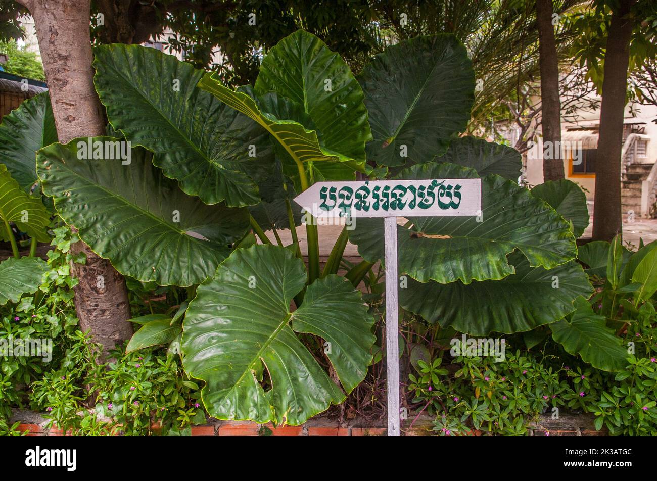 sign written in Khmer script in front of tropical vegetation. Nonmony