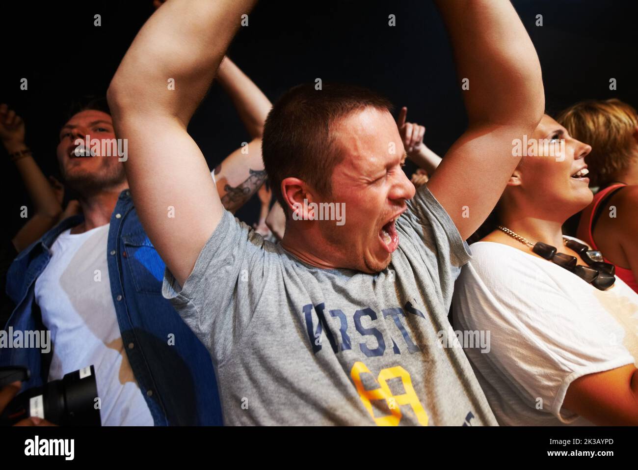 fans enjoying an outdoor music festival This concert was created for