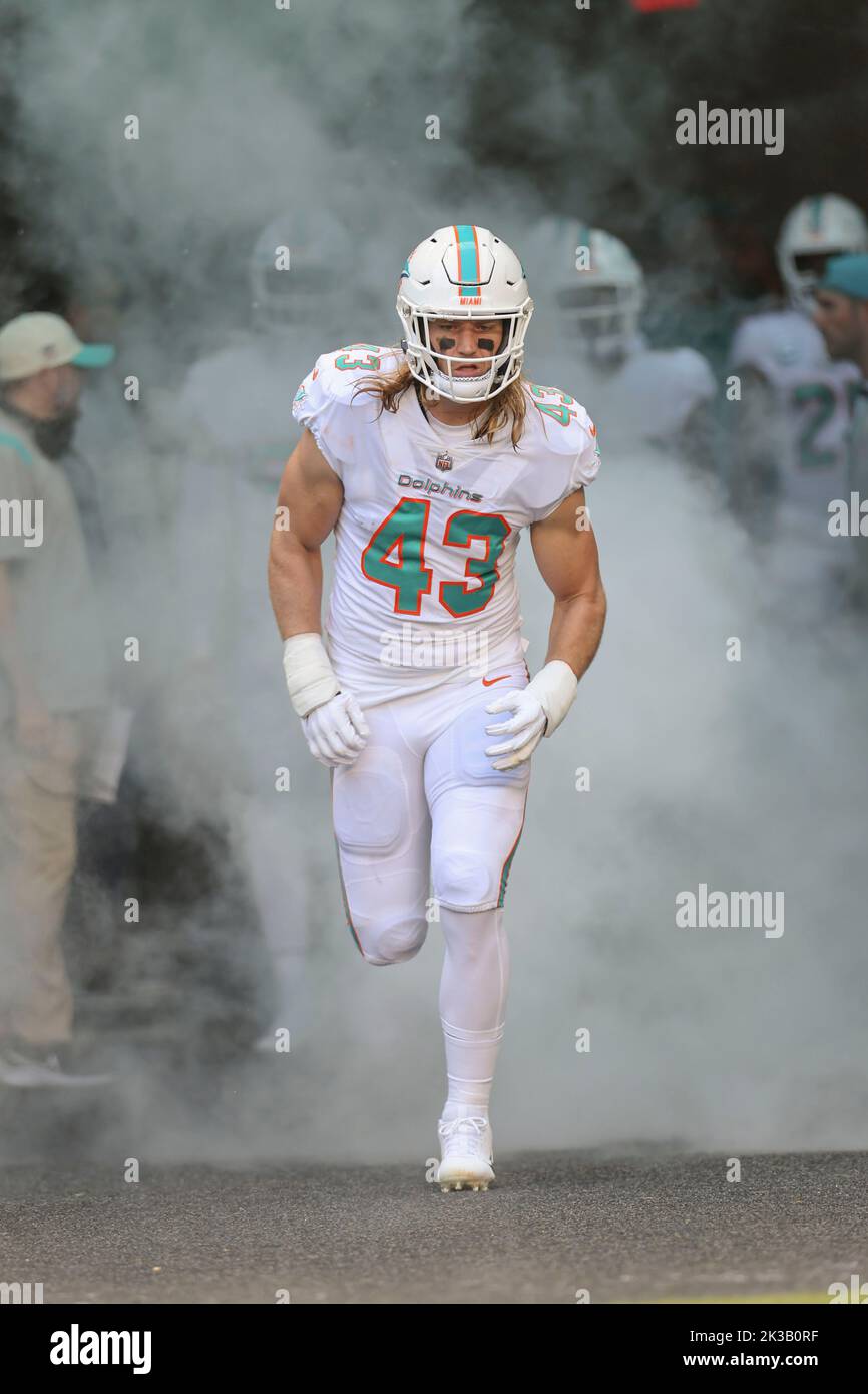 Miami Dolphins linebacker Andrew Van Ginkel (43) runs onto the field before  the start of an NFL football game against the Buffalo Bills, Sunday, Sept.  25, 2022, in Miami Gardens, Fla. (AP