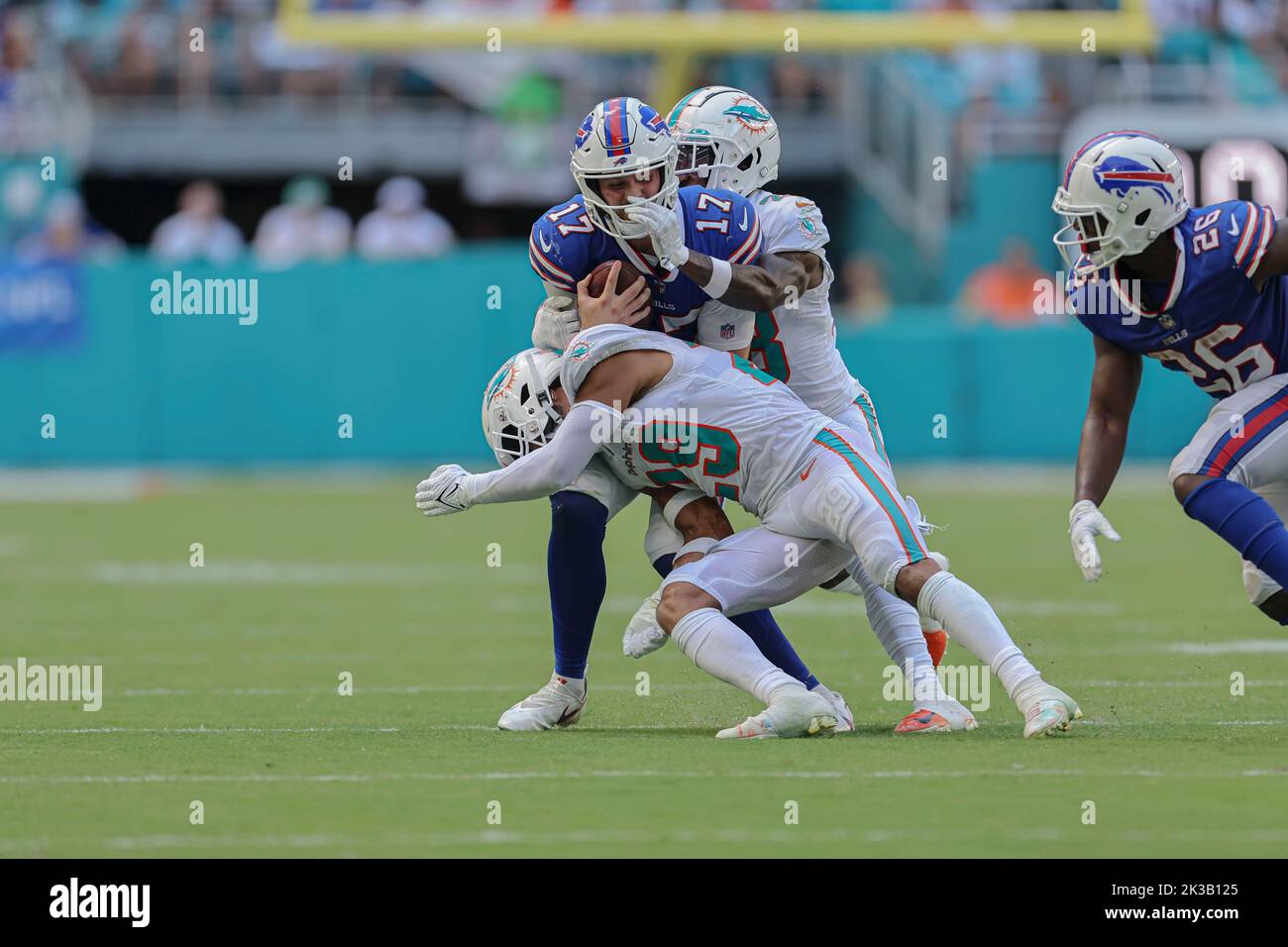 Brandon jones dolphins hires stock photography and images Alamy