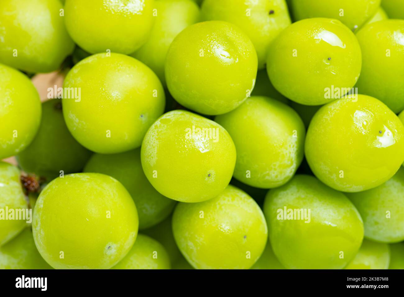fresh big size green grapes Stock Photo