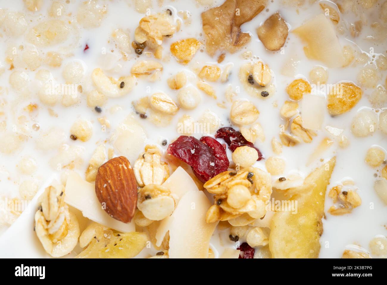healthy breakfast of milk with nuts and dry fruits and melon seeds Stock Photo