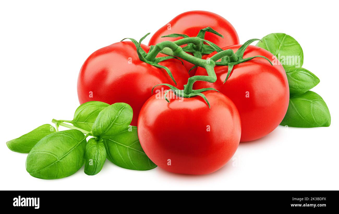 tomato and basil isolated on white background, clipping path, full depth of field Stock Photo