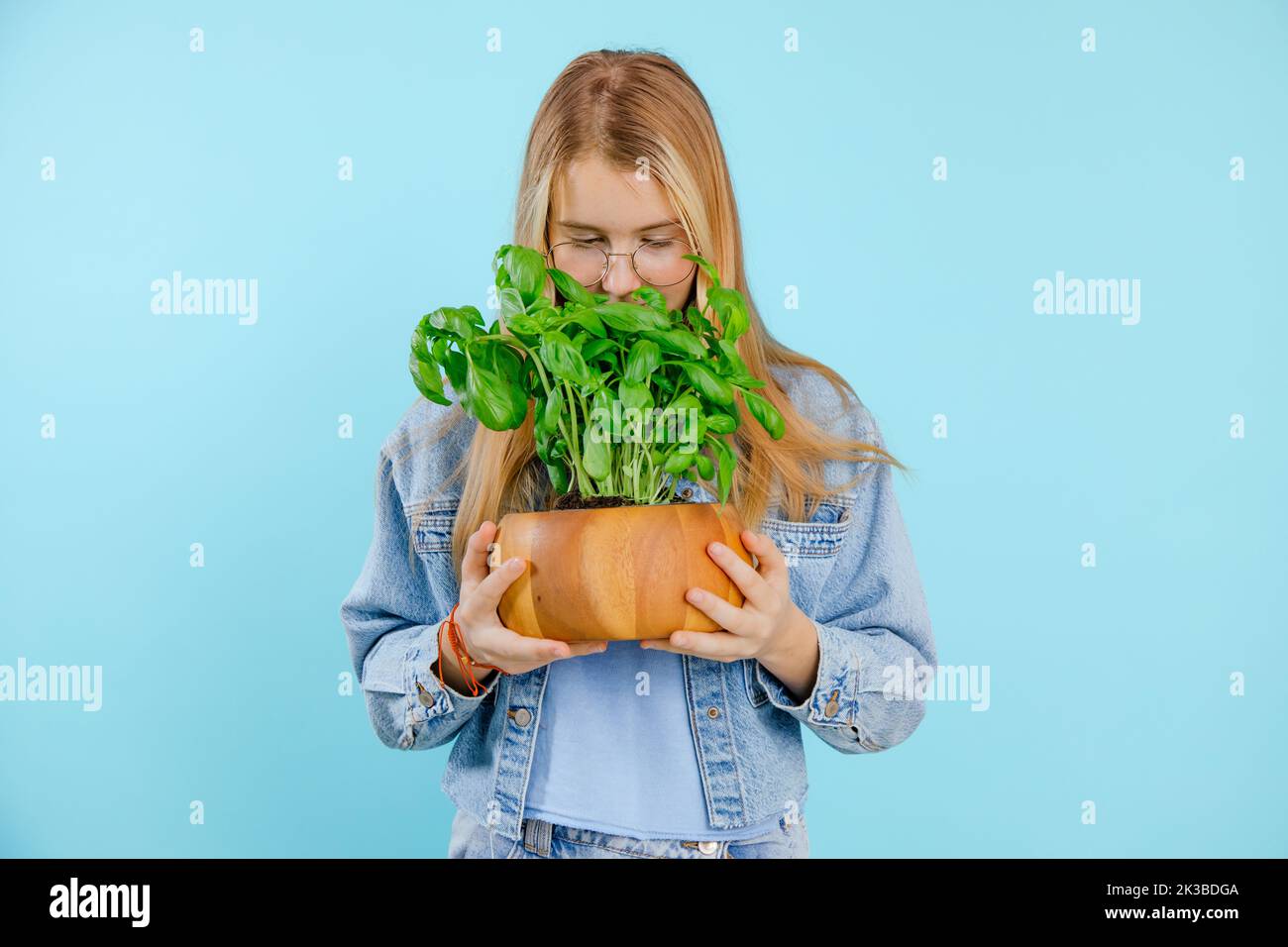 Portrait of teenage girl with long fair hair wearing denim clothes, glasses holding brown pot with growing green basil. Stock Photo