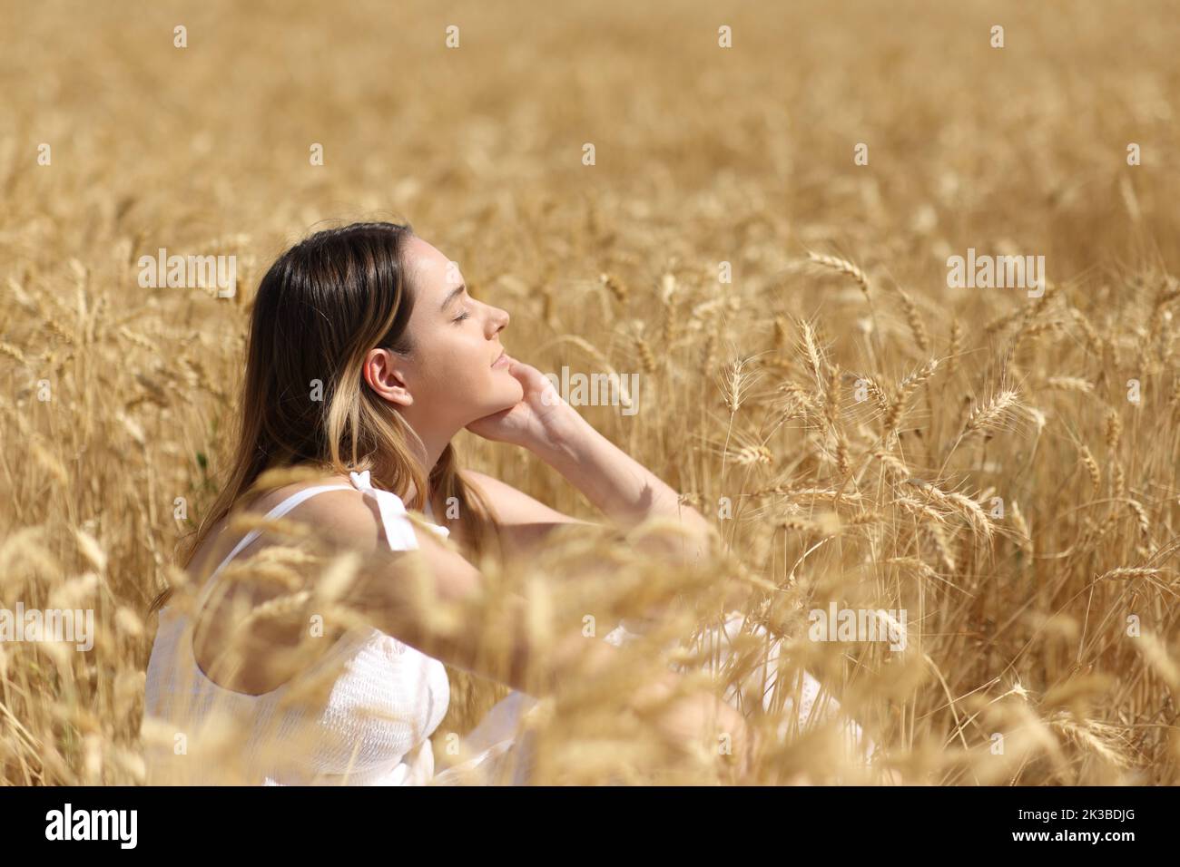 Profile of a relaxed woman resting in a golden wheat field Stock Photo