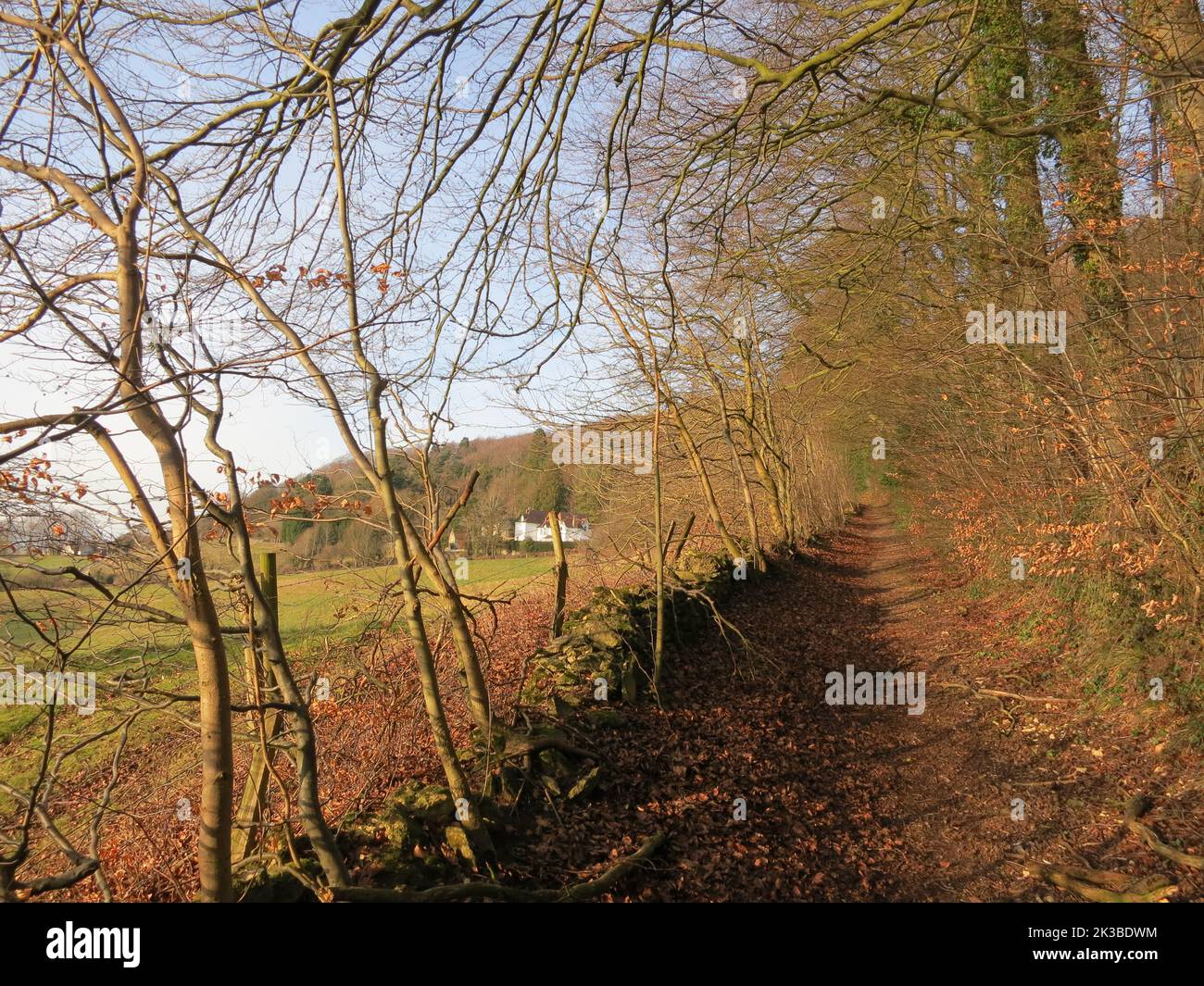 Cotswold Way long distance footpath National Trail. The Cotswolds AONB. South west England. UK