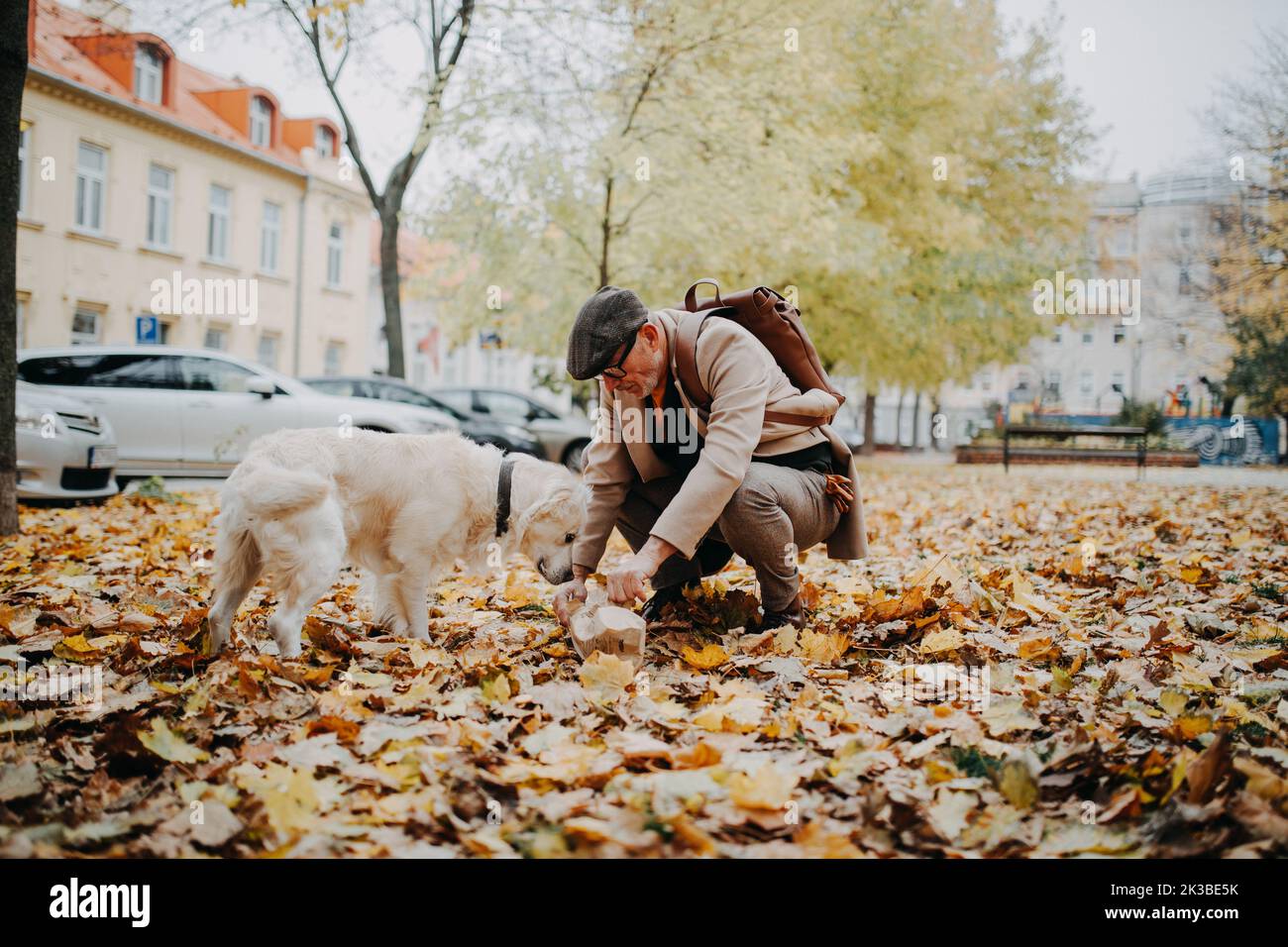 Dog owner picking excrements in paper bag during walking in autumn citypark. Stock Photo