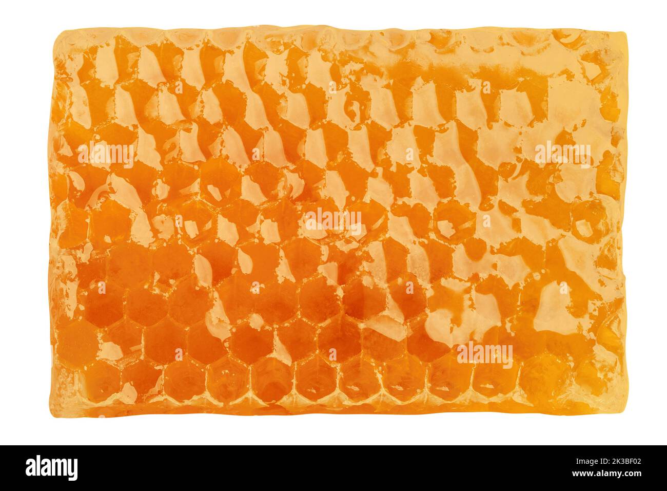 Honeycomb isolated on white background, clipping path, full depth of field Stock Photo
