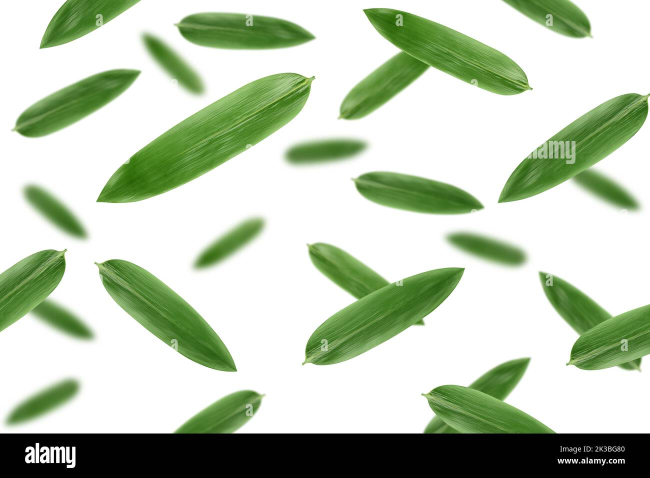 Falling Bamboo leaves, isolated on white background, selective focus Stock Photo