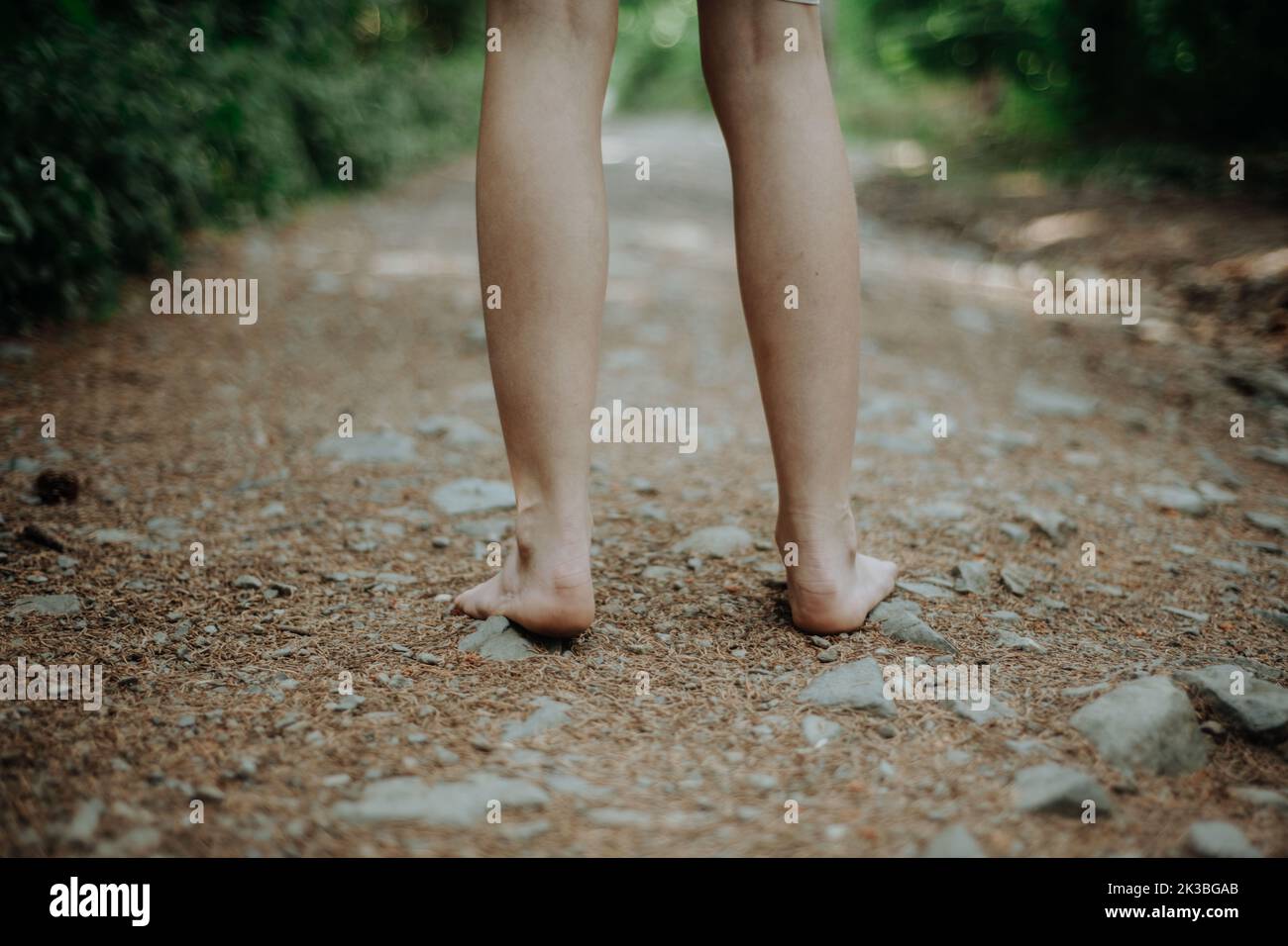 Rear view of barefoot legs walking in forest. Concept of healthy feet. Stock Photo