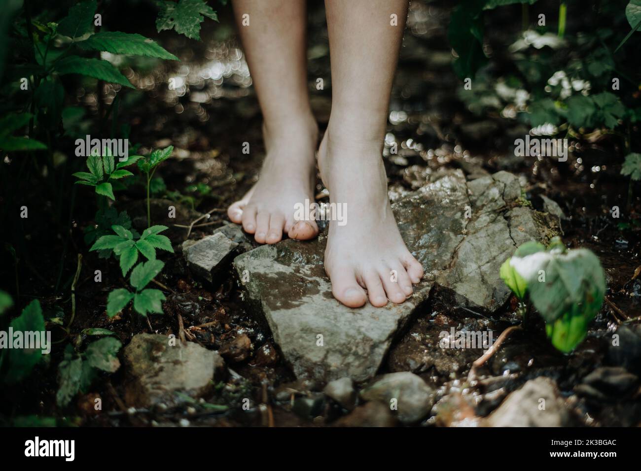 Close-up of barefoot legs walking in forest. Concept of healthy feet. Stock Photo