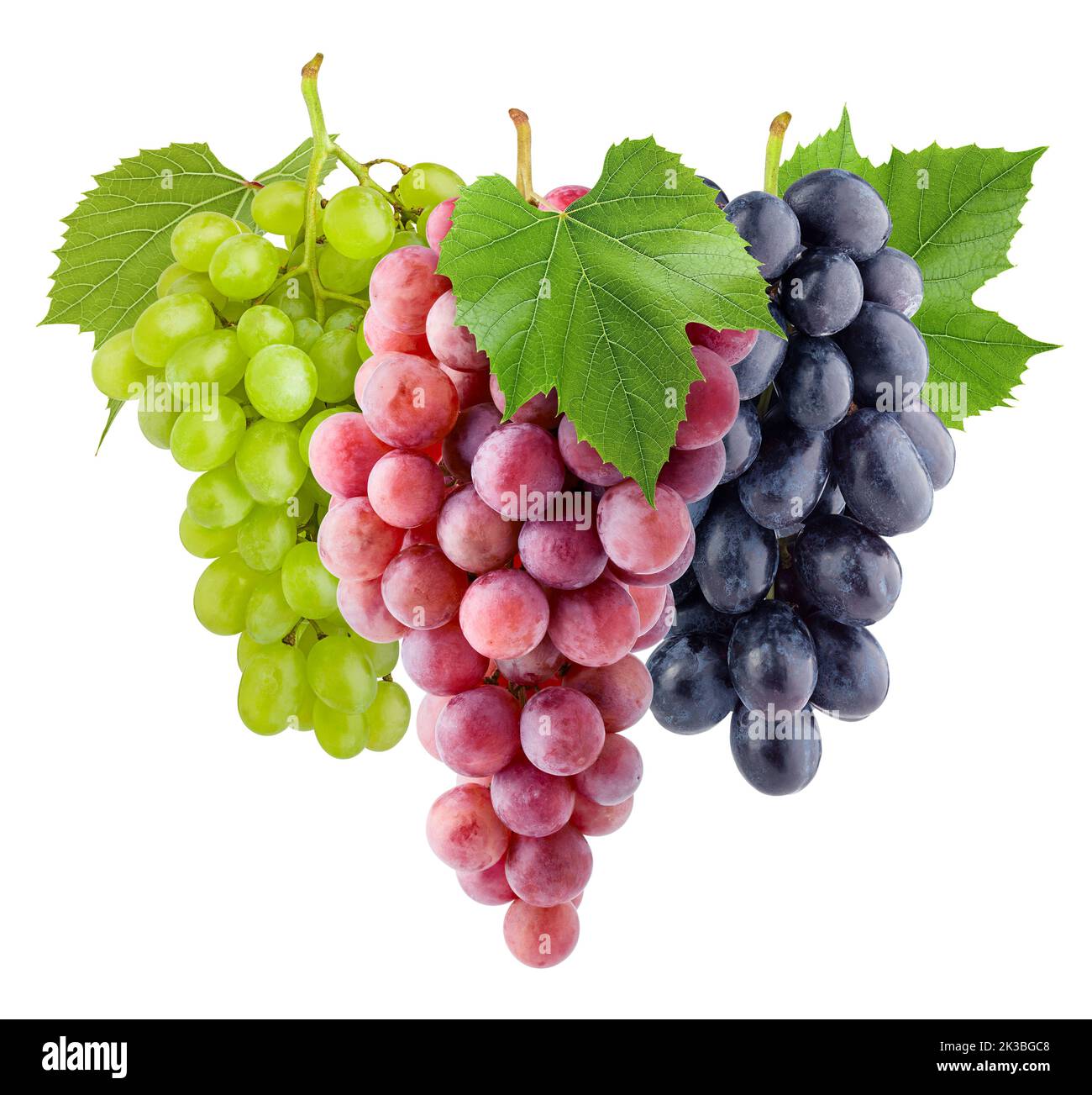 Red Grapes Images