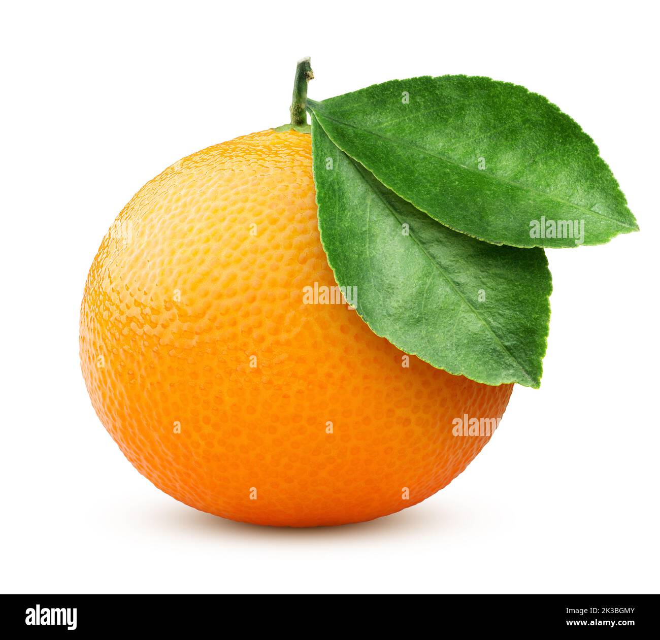 mandarin isolated on white background, clipping path, full depth of ...