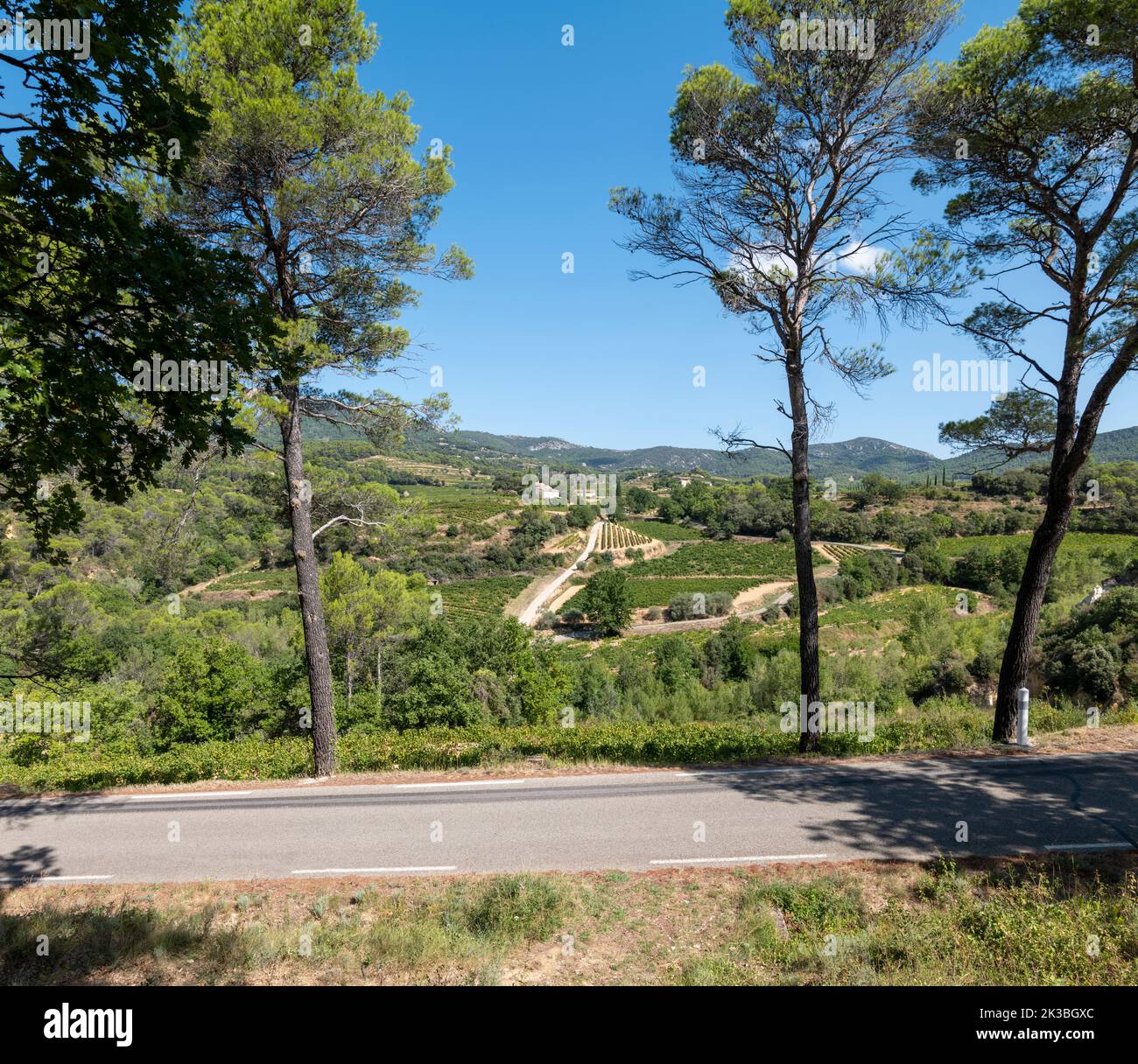 Vineyards in the Dentelles de Montmirail mountain range, Provence, France. Stock Photo