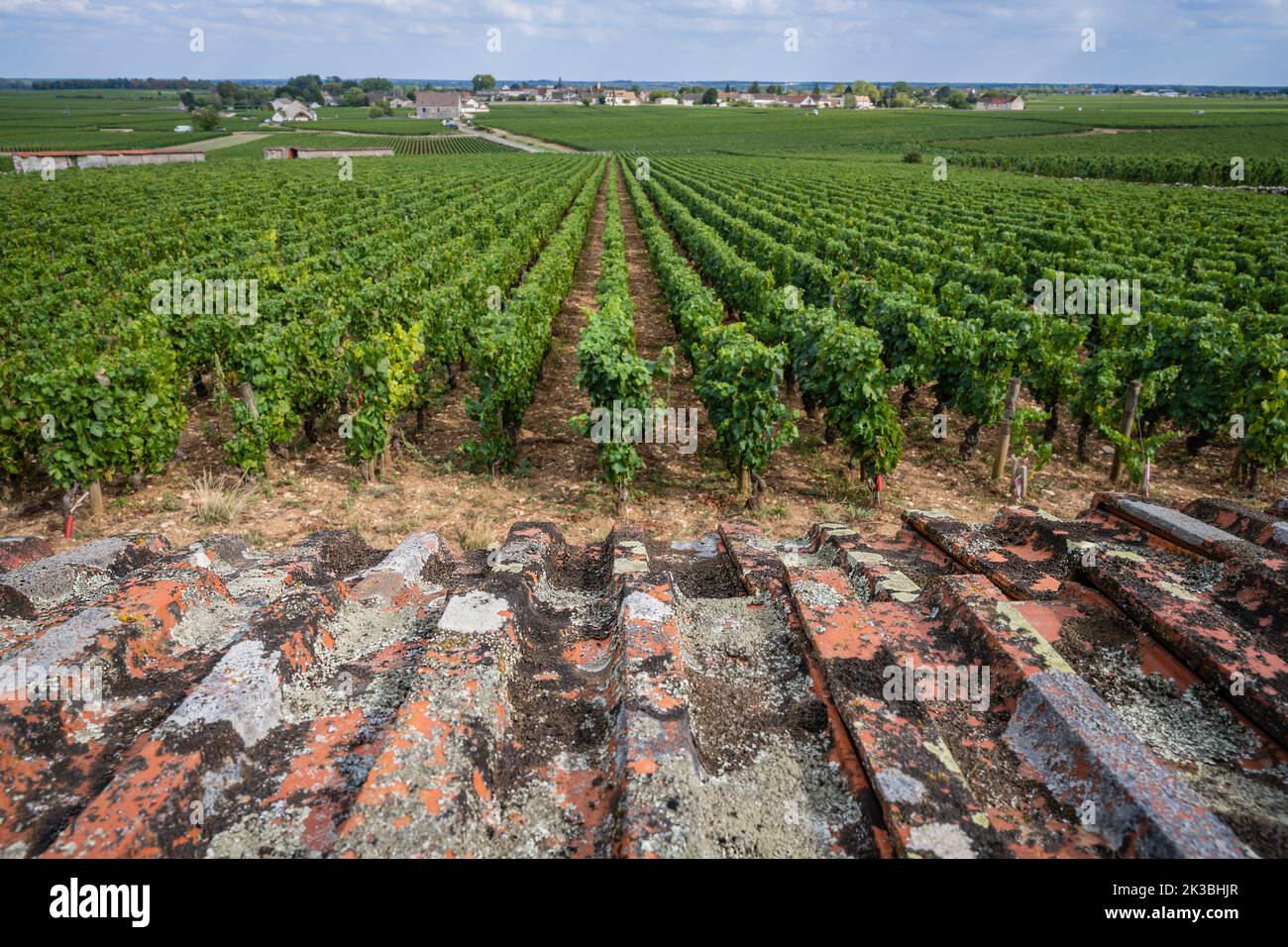 The vineyards of Burgundy, the famous wine village of Meursault, France. Stock Photo