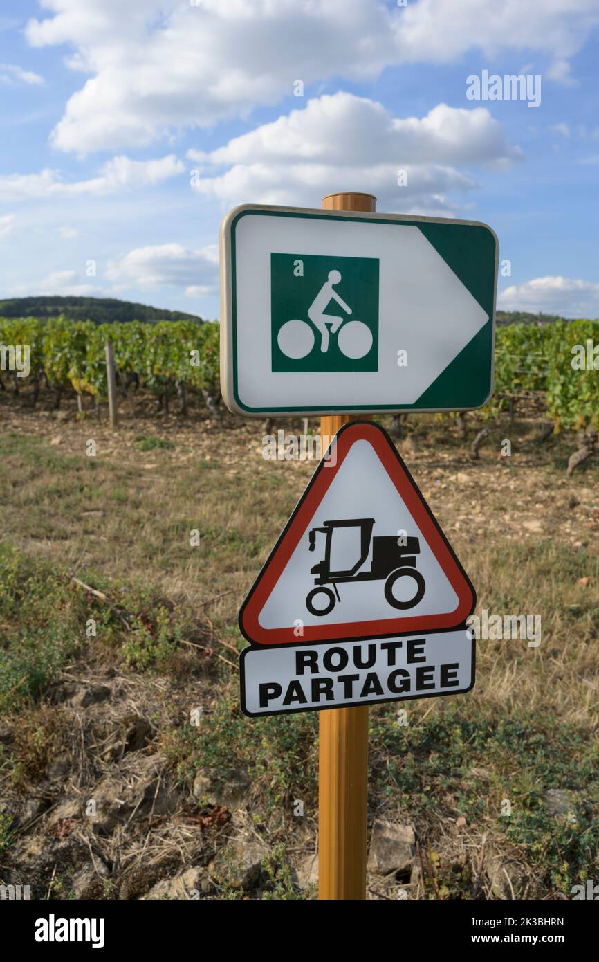 Green cycleway sign on the wine cycle trail close to Beaune, Burgundy, France. Stock Photo