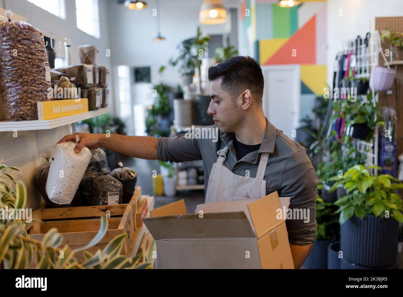 Male plant shop owner arranging inventory Stock Photo