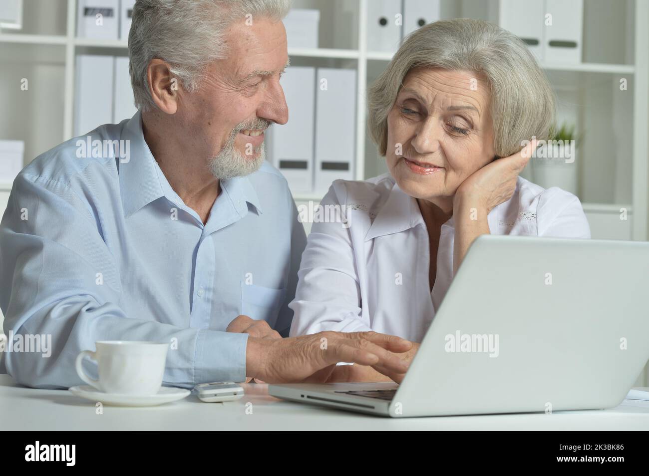 Portrait of an elderly couple of businessmen at a laptop in the office Stock Photo