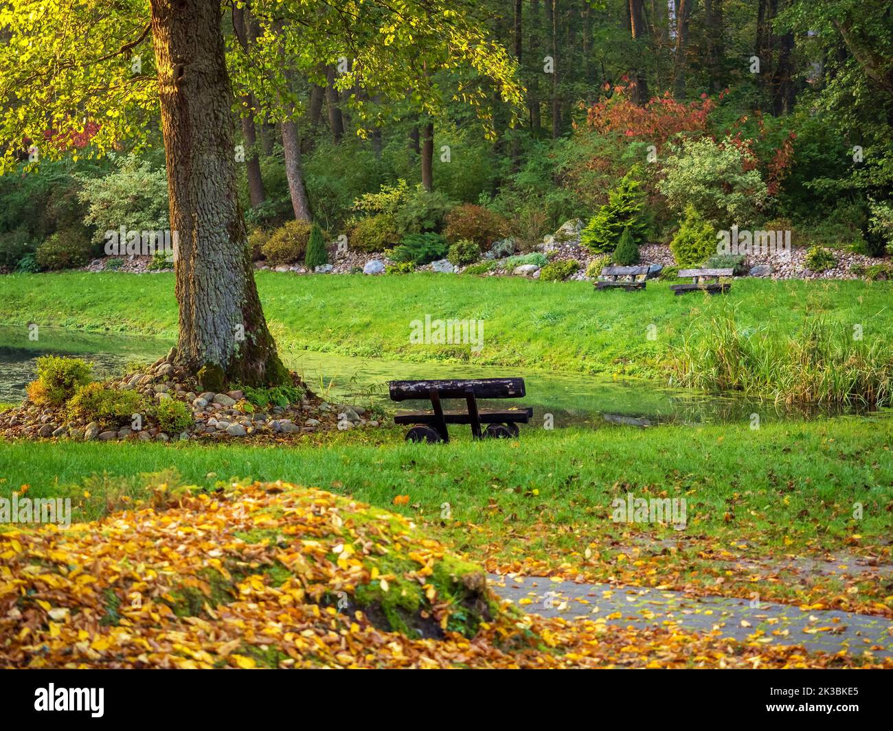 old wooden bench in a autumn garden with a pond in sunset light, autumnal mood Stock Photo