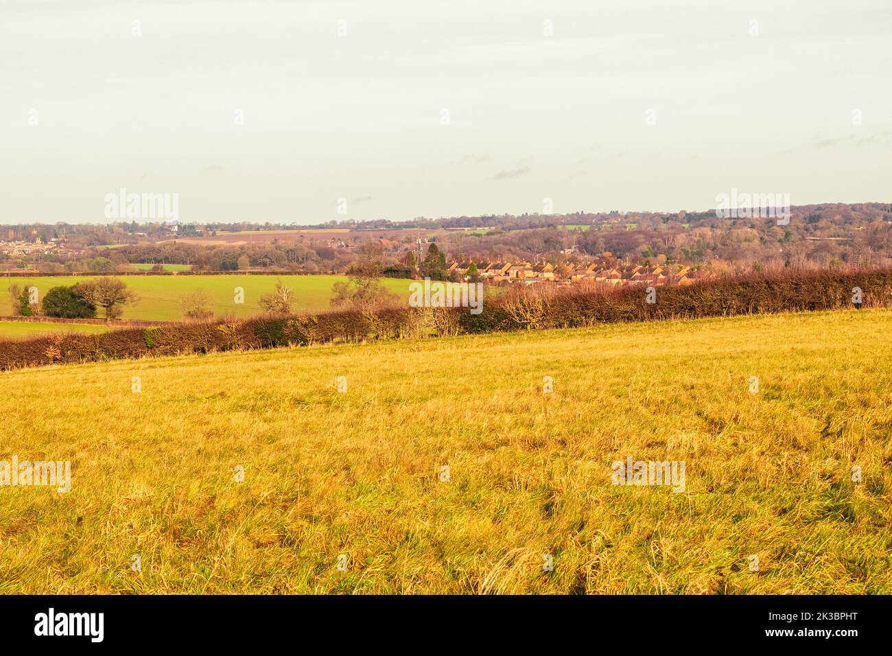 Autumn landscape with meadow and field near Sherrardspark Wood in Welwyn Garden City, Hertfordshire, England Stock Photo