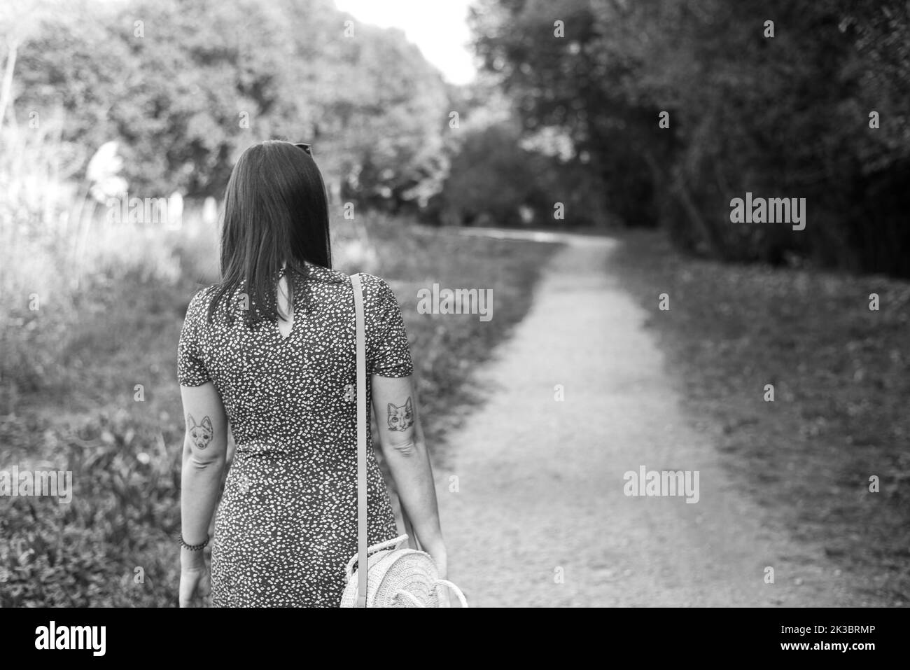 Grayscale photo of a woman walking by a path through the forest Stock ...