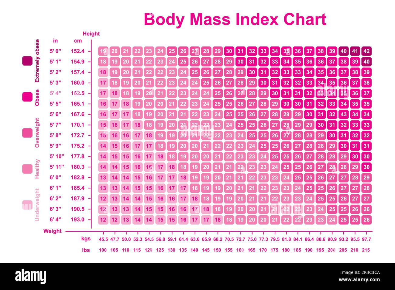 https://c8.alamy.com/comp/2K3C3CA/body-mass-index-bmi-chart-bmi-calculator-to-checking-your-body-mass-index-colorful-symbols-vector-illustration-2K3C3CA.jpg