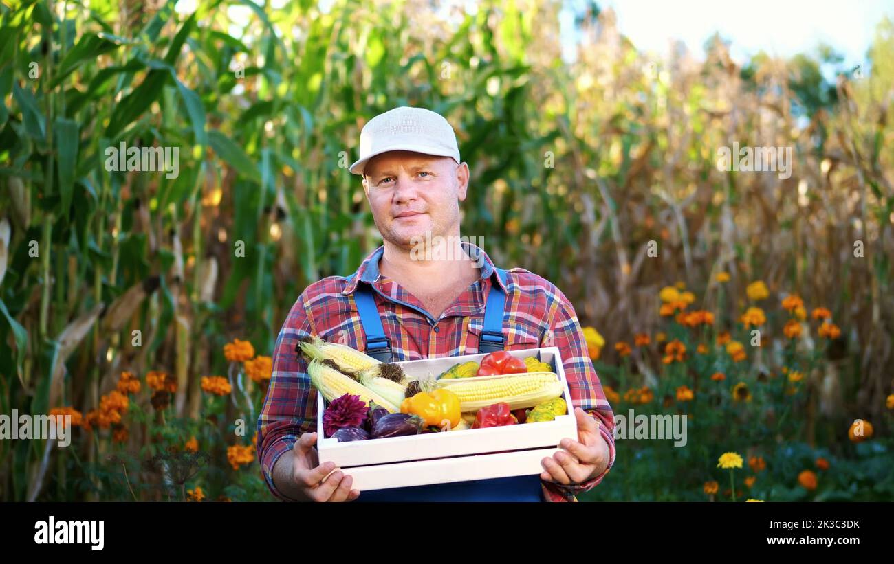 smiling male farmer in plaid shirt and hat holds a box with different ...