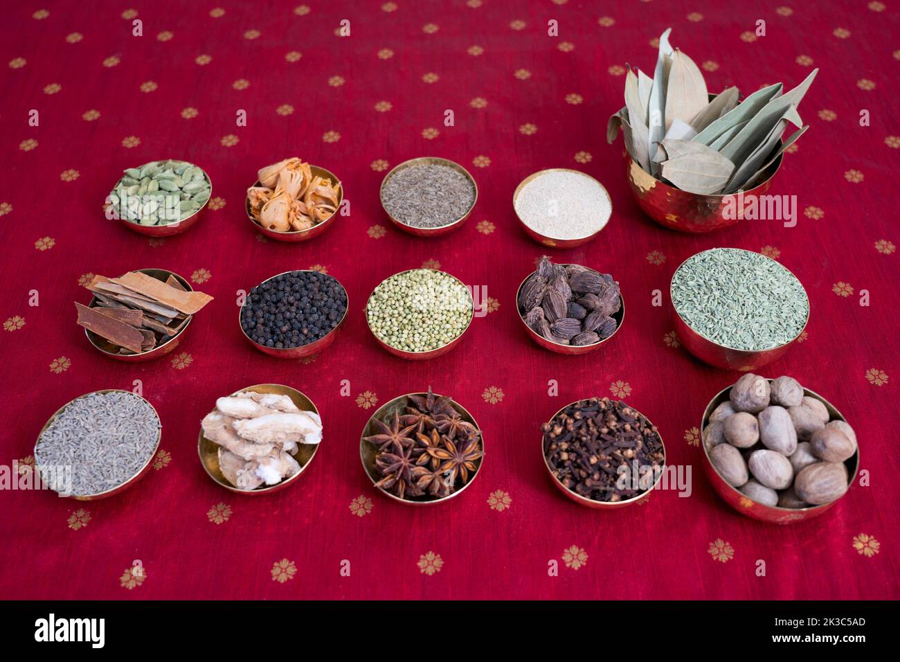 Different Indian spices like cardamon, pepper, star aise, cloves, curry