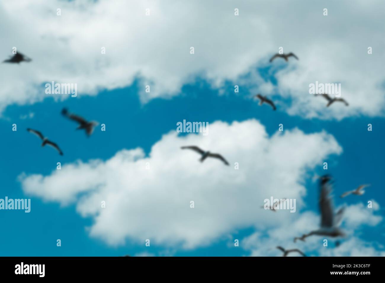 Blue and cloudy sky with seagulls blurred background, beautiful blue landscape with birds flying around, many seagulls in air, freedom and peace Stock Photo
